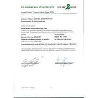 Schubert&Salzer 7020 – EC Declaration of Conformity