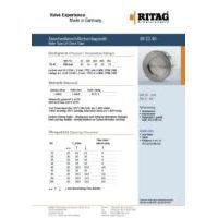 RITAG SR 22.40 DN 15-100 PN 6-40 Carbon Steel