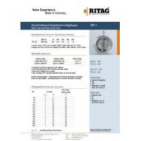RITAG ZRD 1 DN 50-500 PN 63-160 Carbon Steel