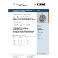 RITAG ZRD 1 DN 600-1000 PN 6-40 Carbon Steel