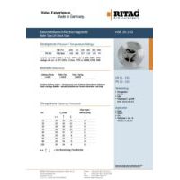 RITAG HSR 30.160 DN 15-100 PN 63-160 Stainless Steel