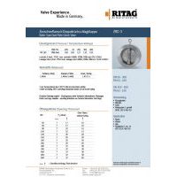 RITAG ZRD 3 DN 50-500 PN 63-160 Stainless Steel